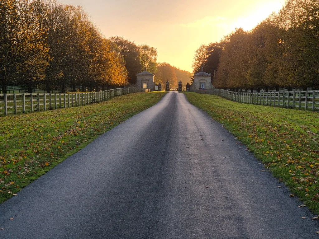 Tree-lined drive to the Newby Hall gates