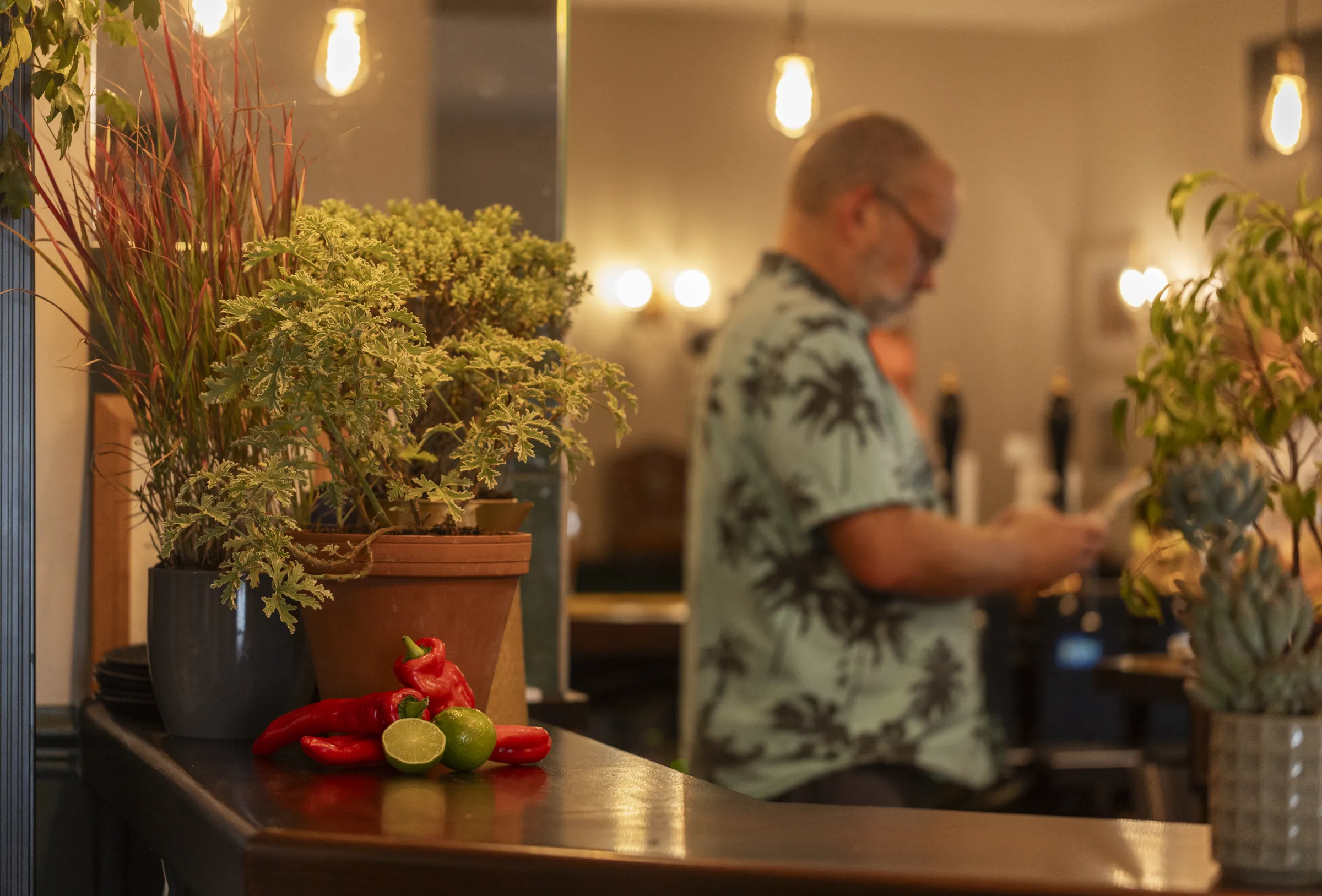 Chillies, limes and plants decorating the bar for Mexican Night at The Black Lion